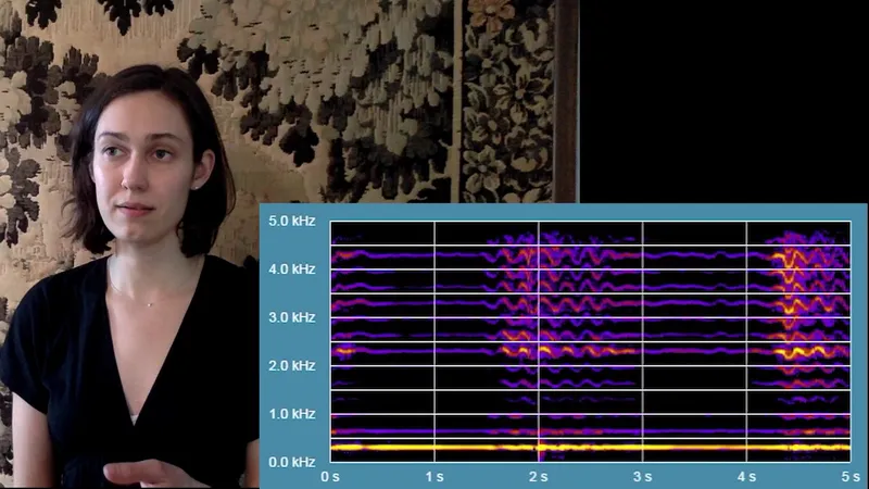 Vibrato and No Vibrato